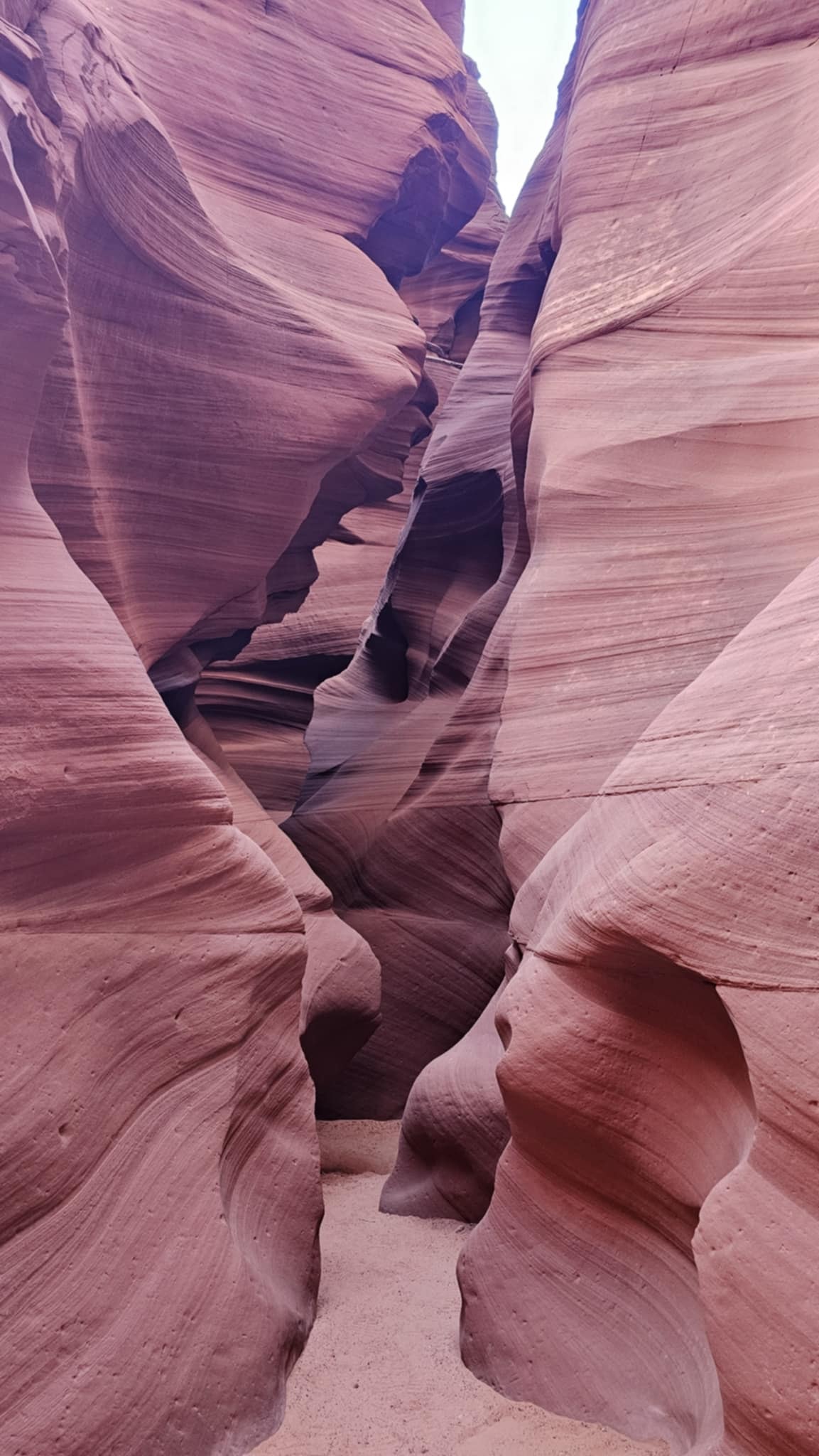Wide pink and mauve passage looking up to sky, Canyon X