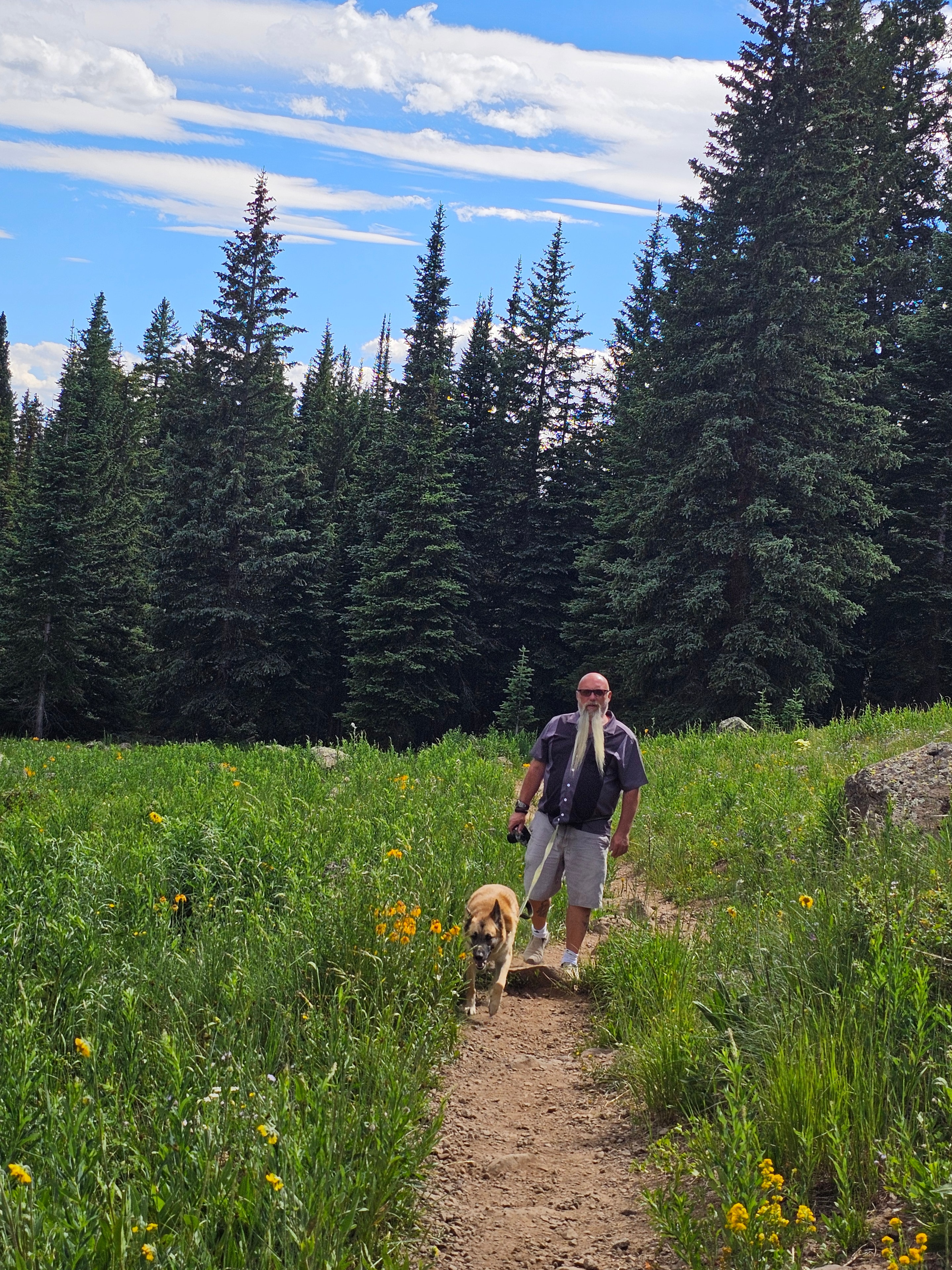 Grand Mesa — Joe and Zero walking a trail through a wildflower meadow with spruce forest and blue sky — LOVING LIFE HAVING FUN Brinkley Z3400
