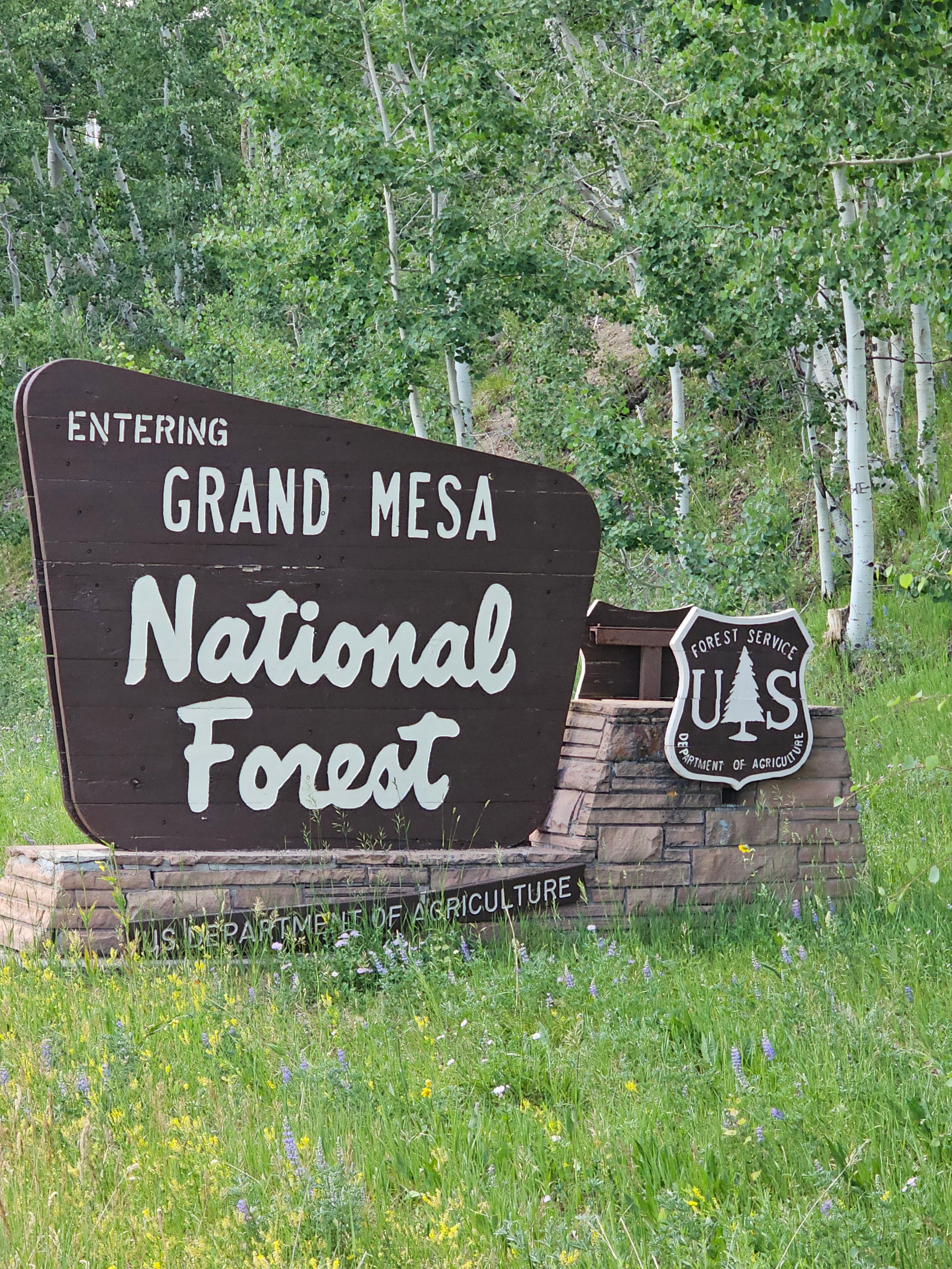 Entering Grand Mesa National Forest — dark brown Forest Service sign with USDA shield, surrounded by aspens and wildflowers — LOVING LIFE HAVING FUN Brinkley Z3400