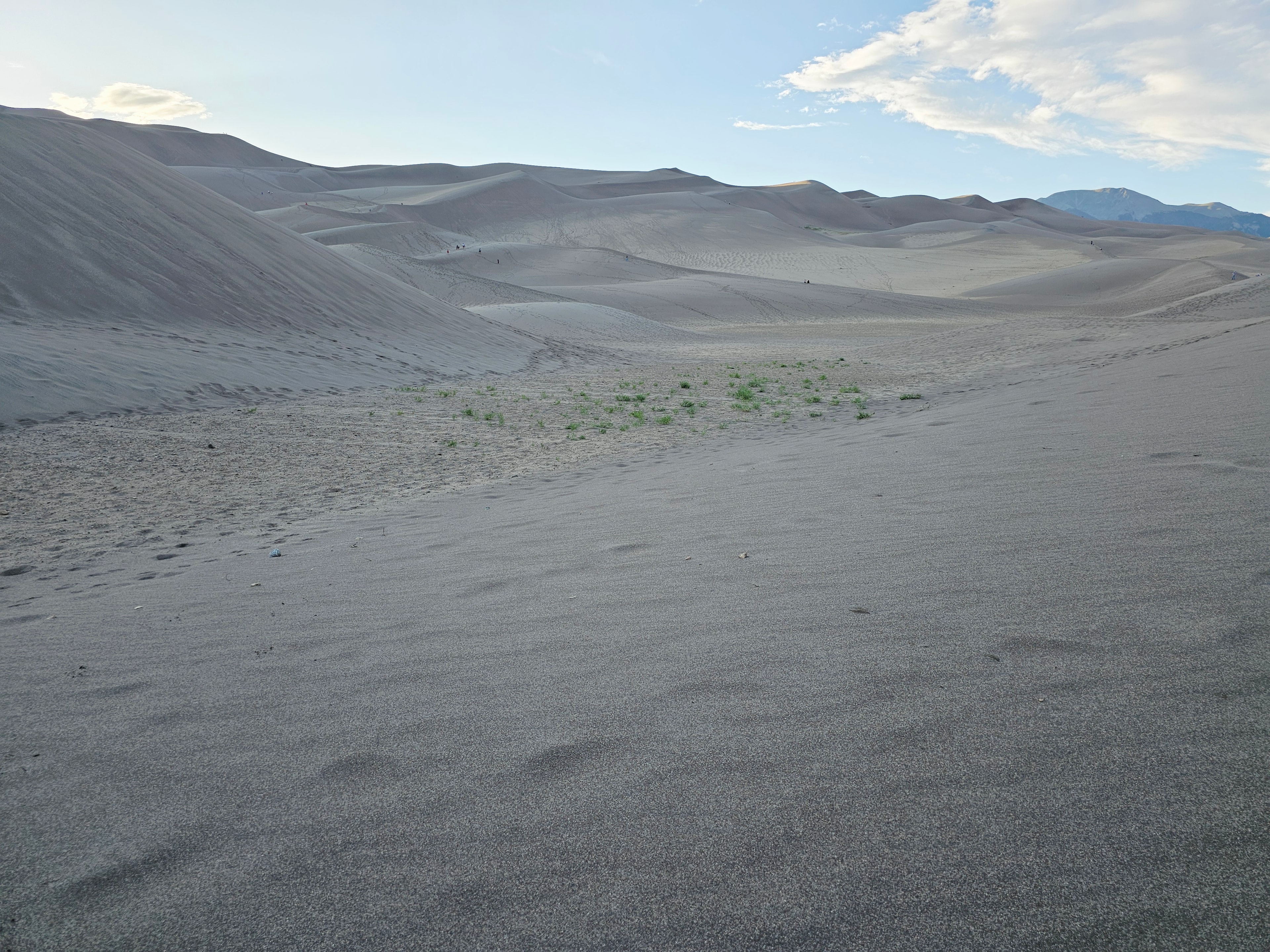 Great Sand Dunes wide dune field from elevation — green scrub patches on the sand flat, Sangre de Cristo Mountains, hikers tiny in the distance, blue sky with clouds — LOVING LIFE HAVING FUN Brinkley Z3400