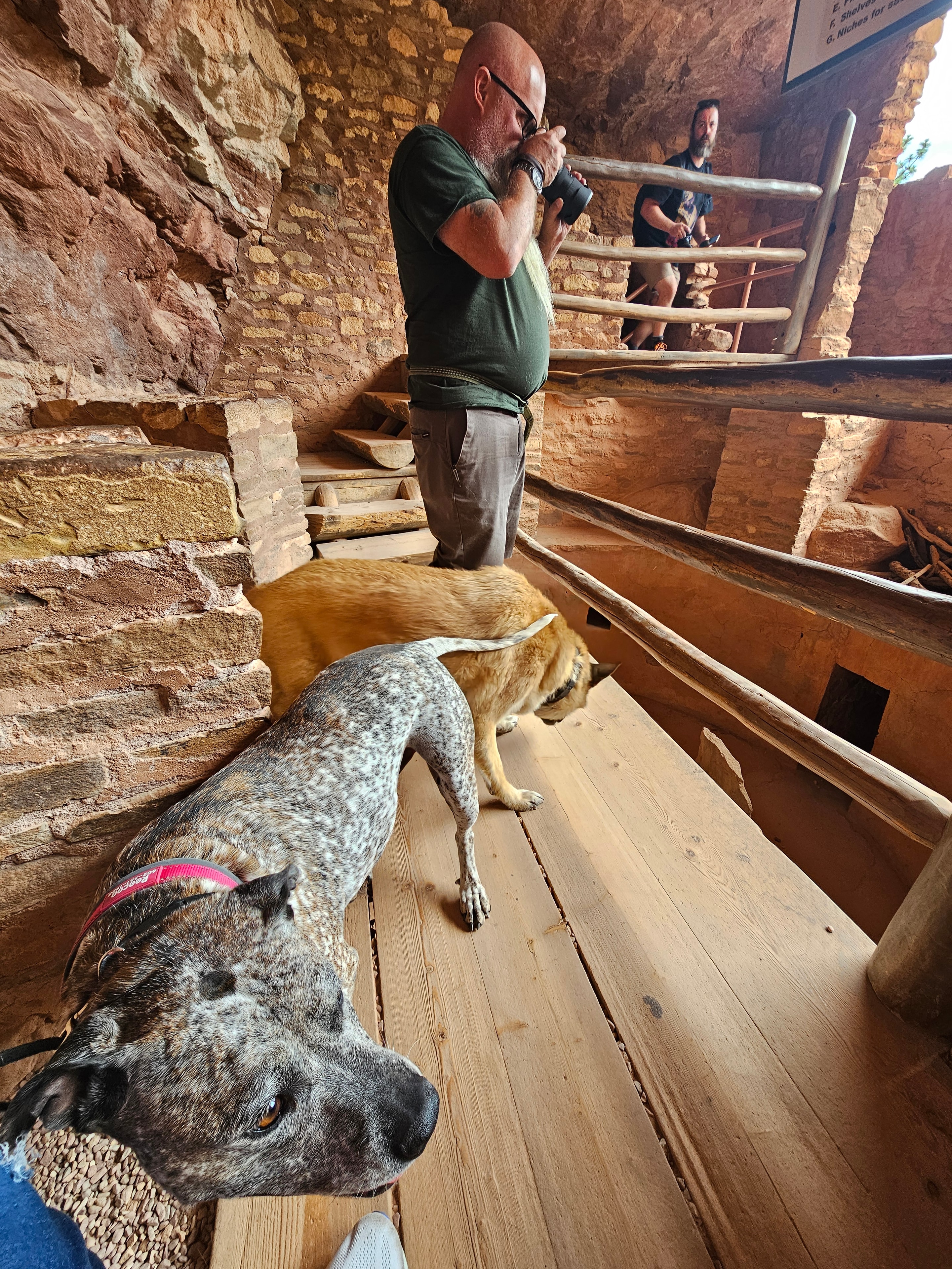 Joe with Zero and Reecee on the wooden stairs inside Manitou Cliff Dwellings — both dogs climbing up — LOVING LIFE HAVING FUN Brinkley Z3400