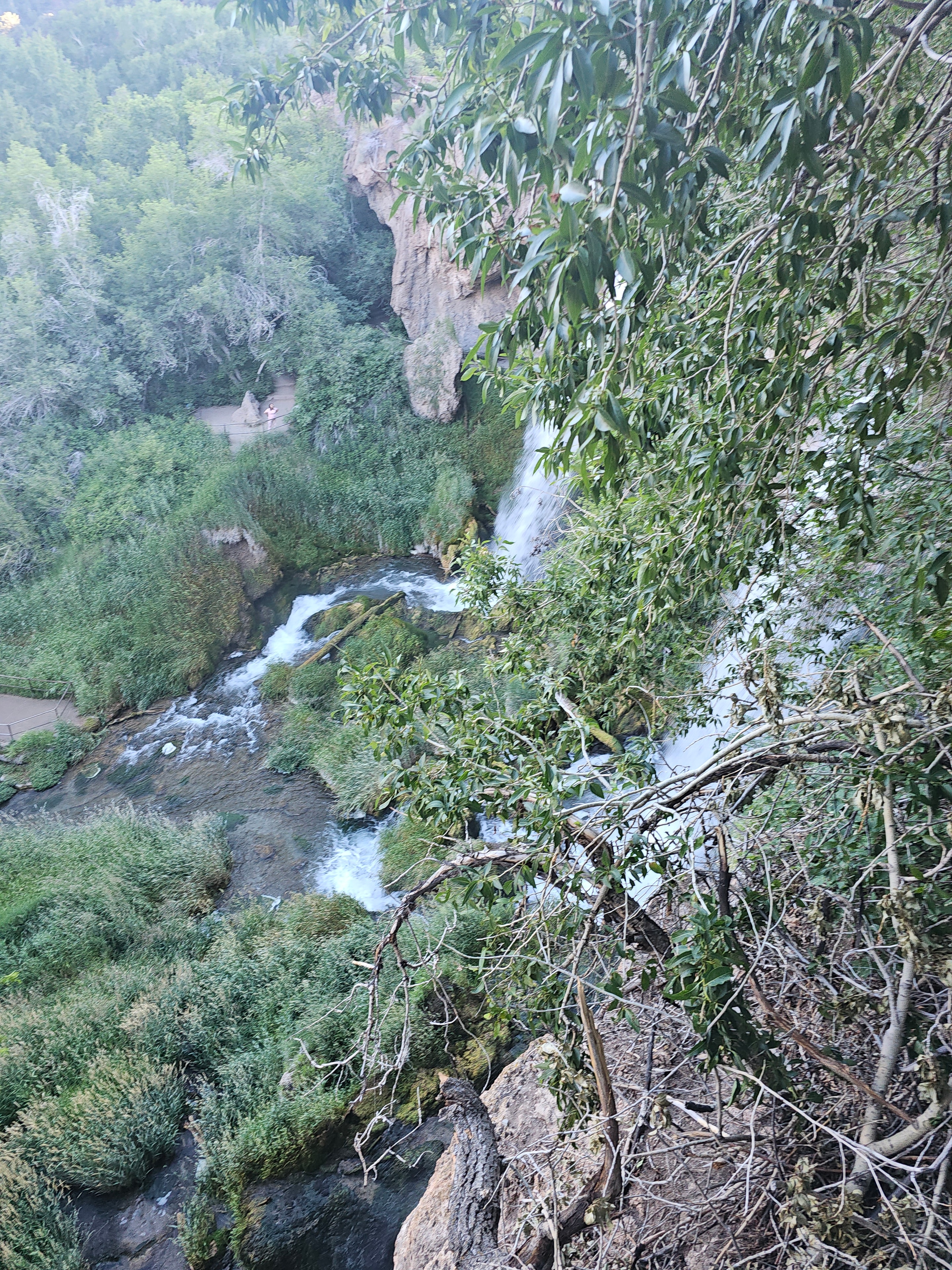 Rifle Falls — aerial view of all three cascades through the tree canopy, mist rising, lush green — LOVING LIFE HAVING FUN Brinkley Z3400