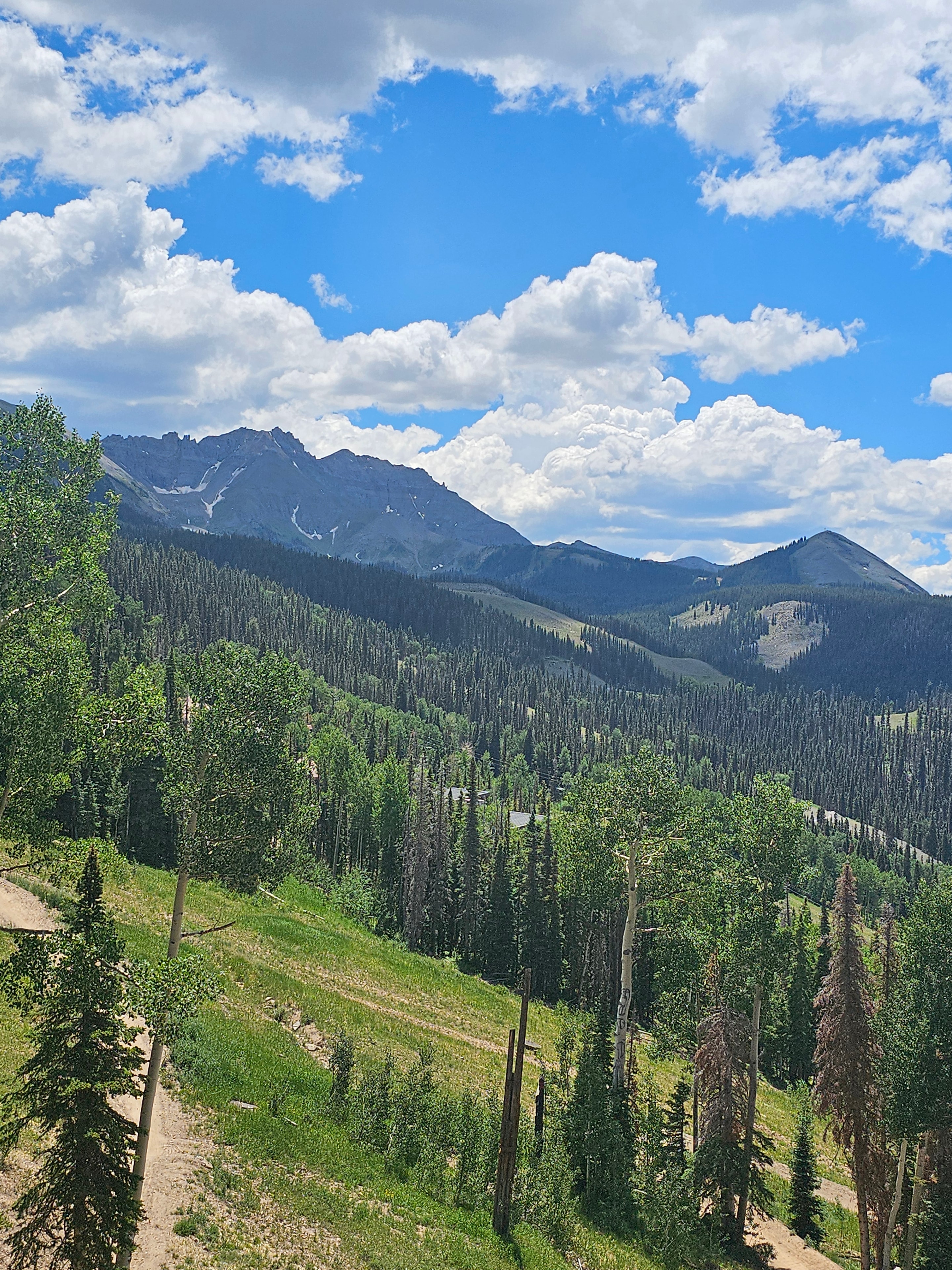 San Juan mountain panoramic from Telluride gondola — snow-capped peaks, dense spruce forest, and dramatic clouds — LOVING LIFE HAVING FUN Brinkley Z3400