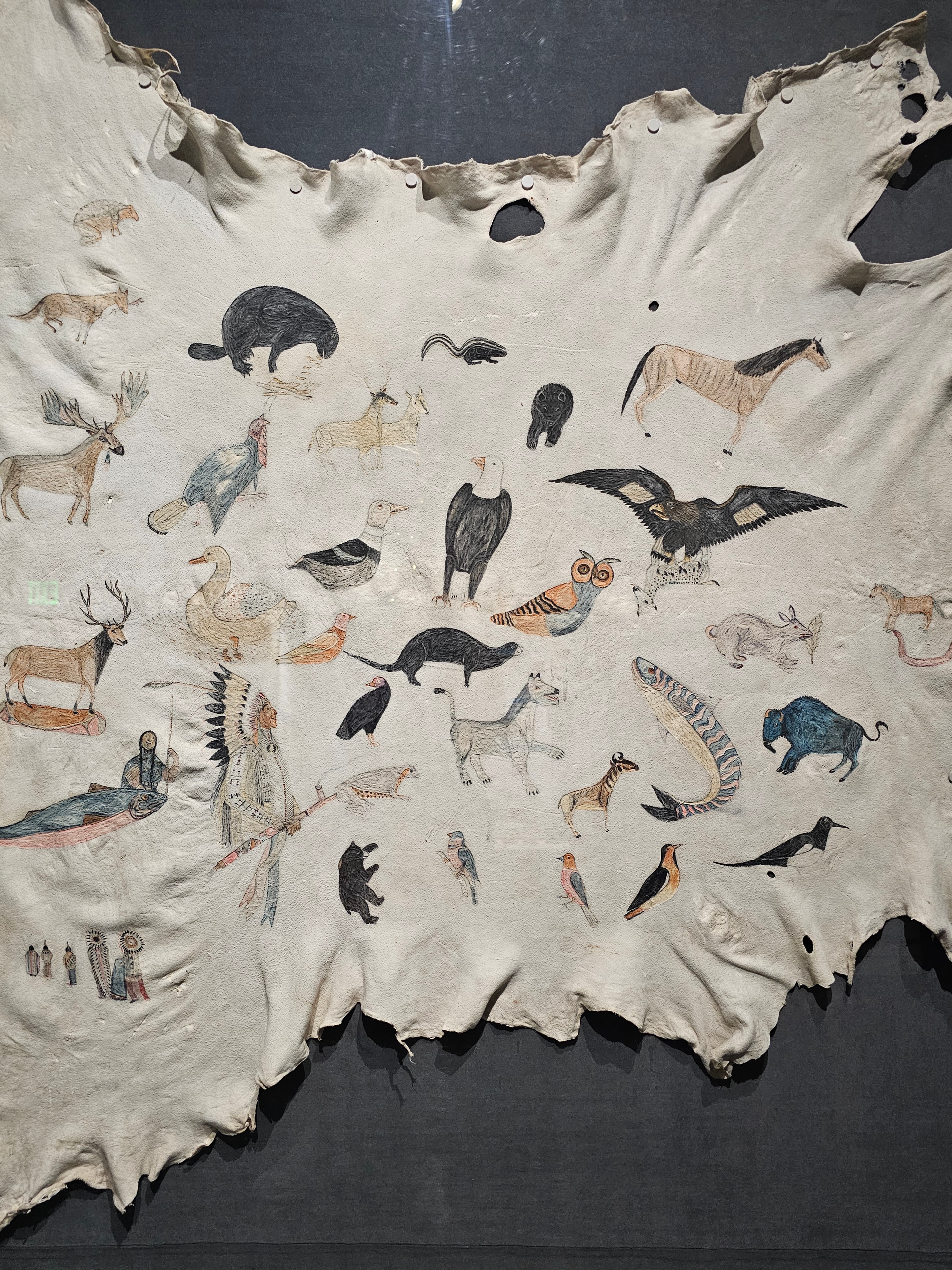 Ute Indian Museum — extraordinary hide painting with animals, birds, and figures in ink and watercolor on animal skin — LOVING LIFE HAVING FUN Brinkley Z3400