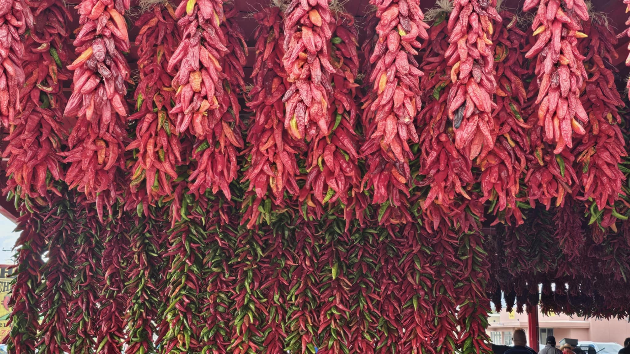 Ristras of dried red chiles hanging on a wall at the Hatch Chile Festival
