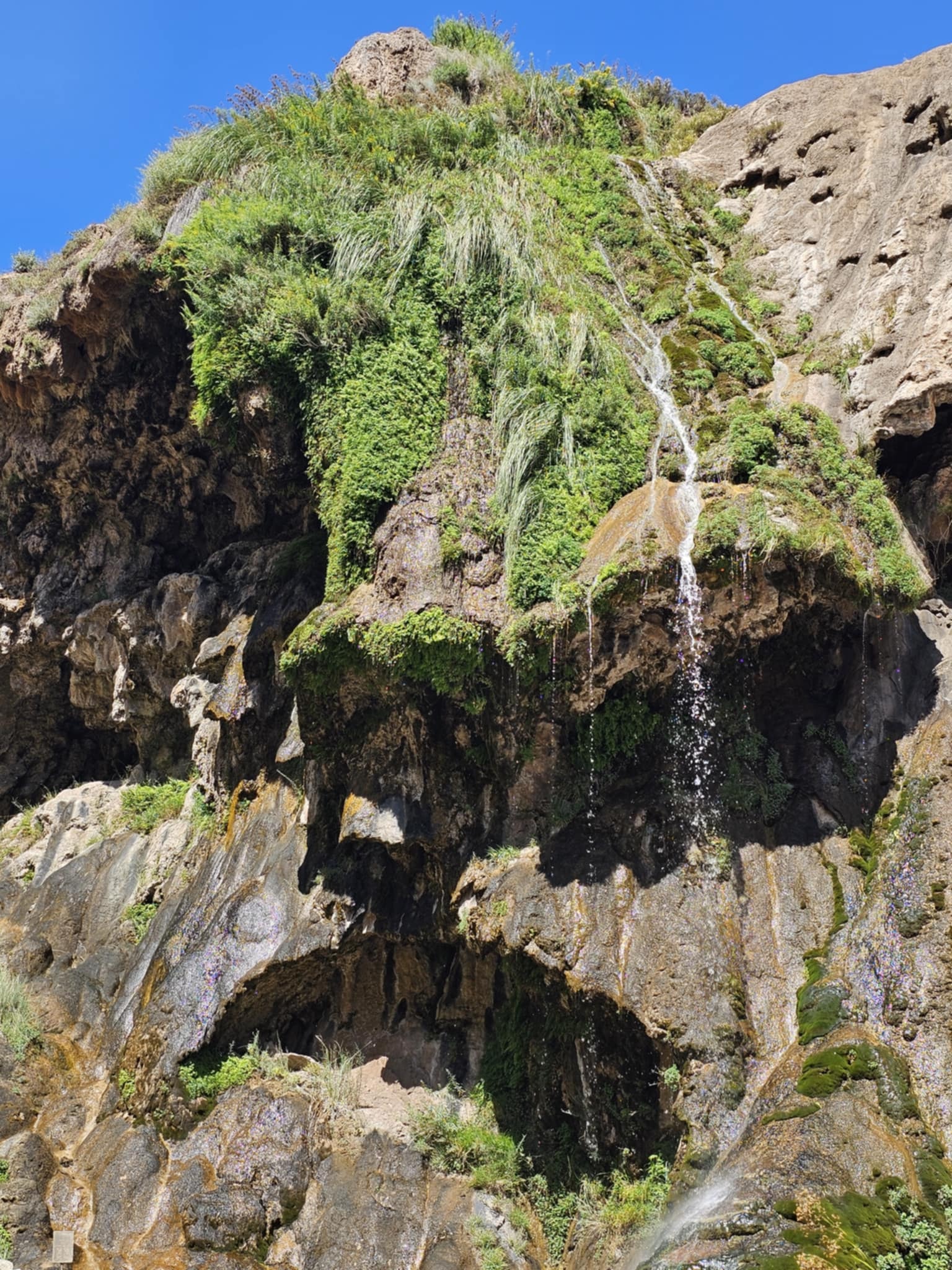 Close-up of the spring-fed waterfall at Sitting Bull Falls, New Mexico — a thin white cascade dropping from a lush green moss-covered ledge down a dark wet cliff face, ferns and desert vegetation clinging to the rock, vivid blue sky above
