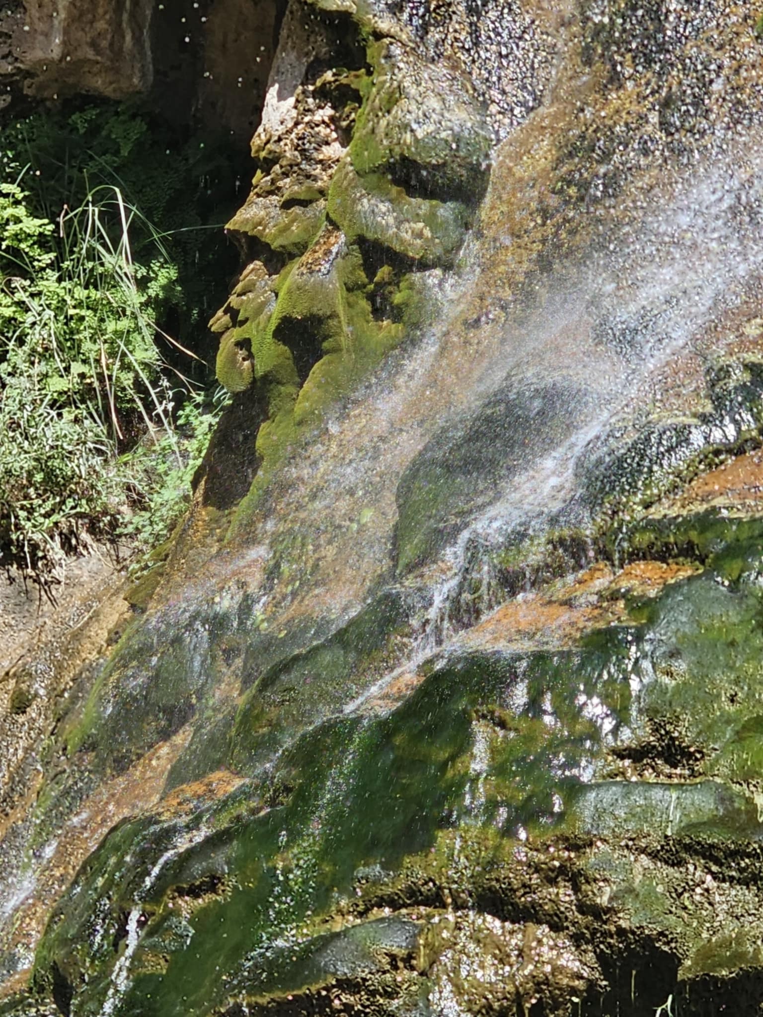 Extreme close-up of the Sitting Bull Falls spring water spraying and sheeting over green moss-covered rock ledges — white mist catching the sunlight, orange mineral stains on the wet stone, ferns and green vegetation visible in the upper left shadow