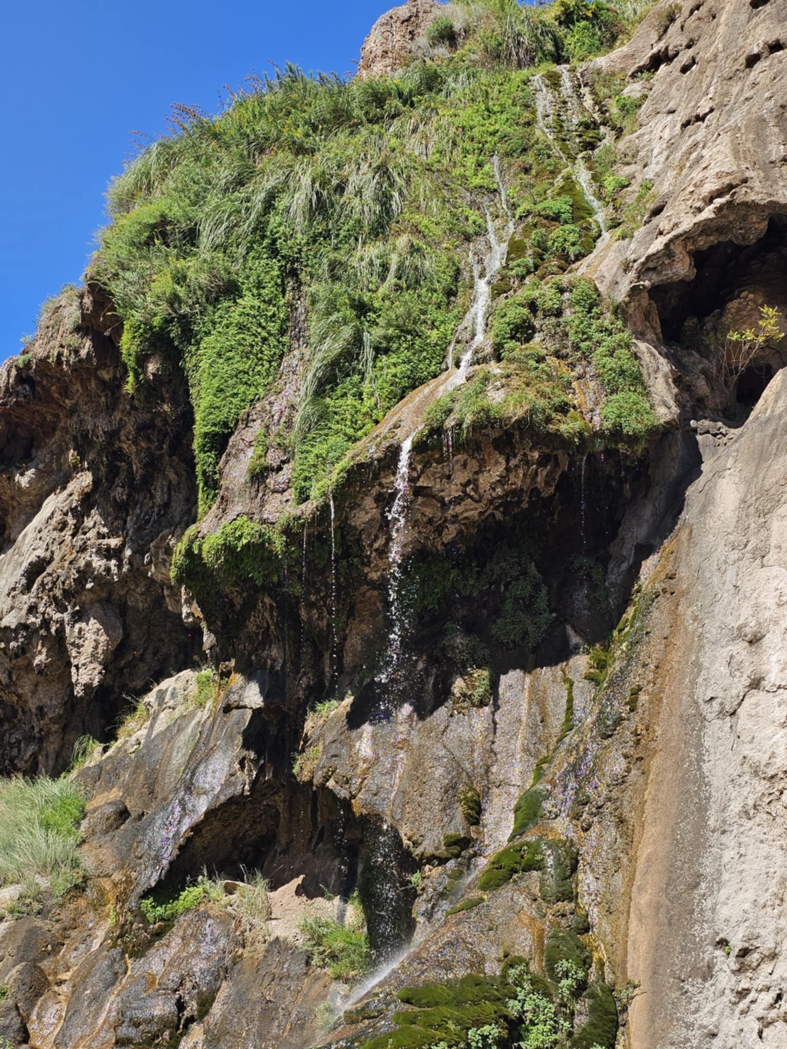 Wide shot of the Sitting Bull Falls cliff face — the spring-fed waterfall dropping from a broad green-topped ledge through layered tan and dark limestone, multiple trickles of water visible across the rock face, blue sky with the full canyon wall in frame