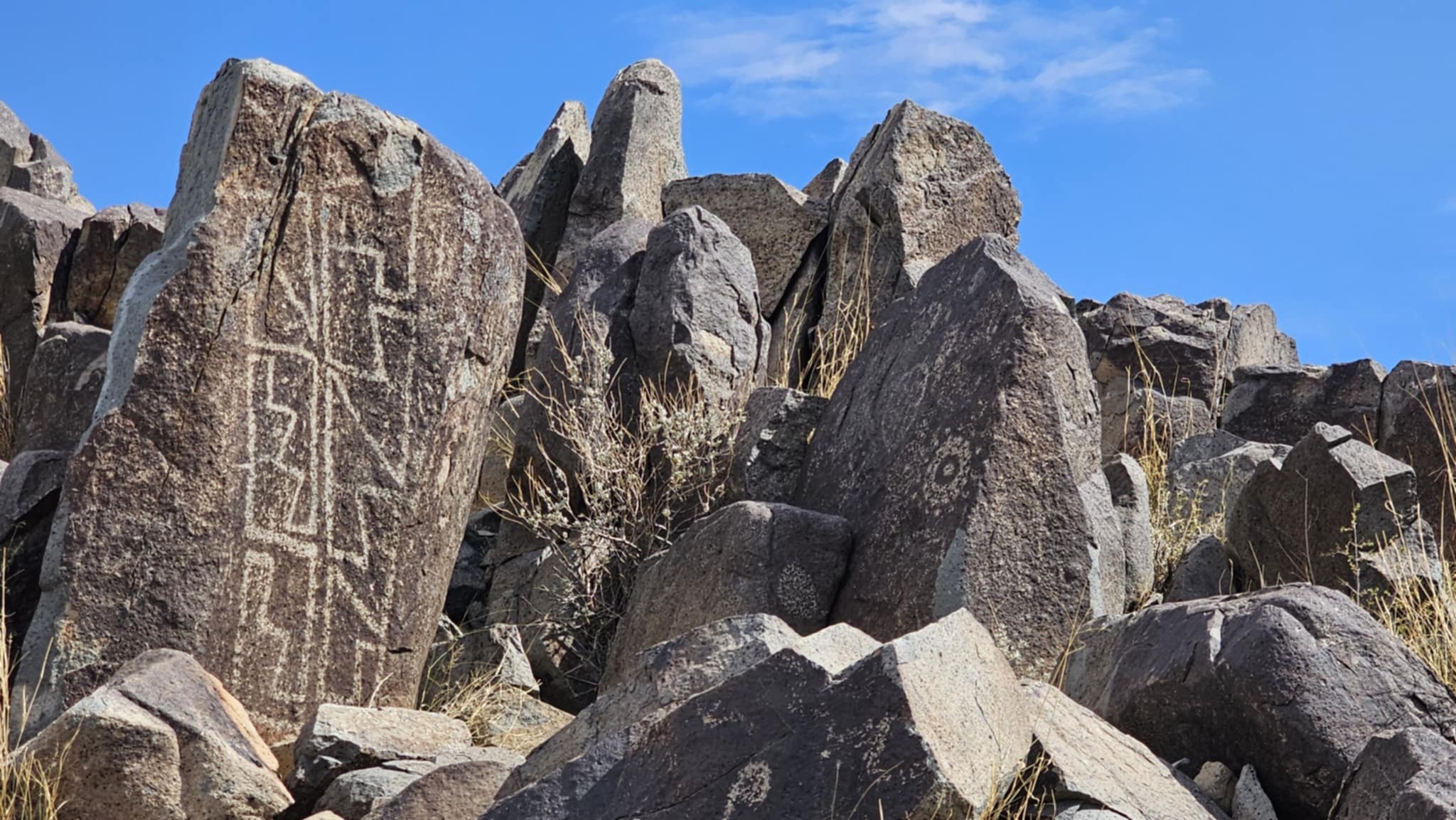 Petroglyphs at Three Rivers Petroglyph Site