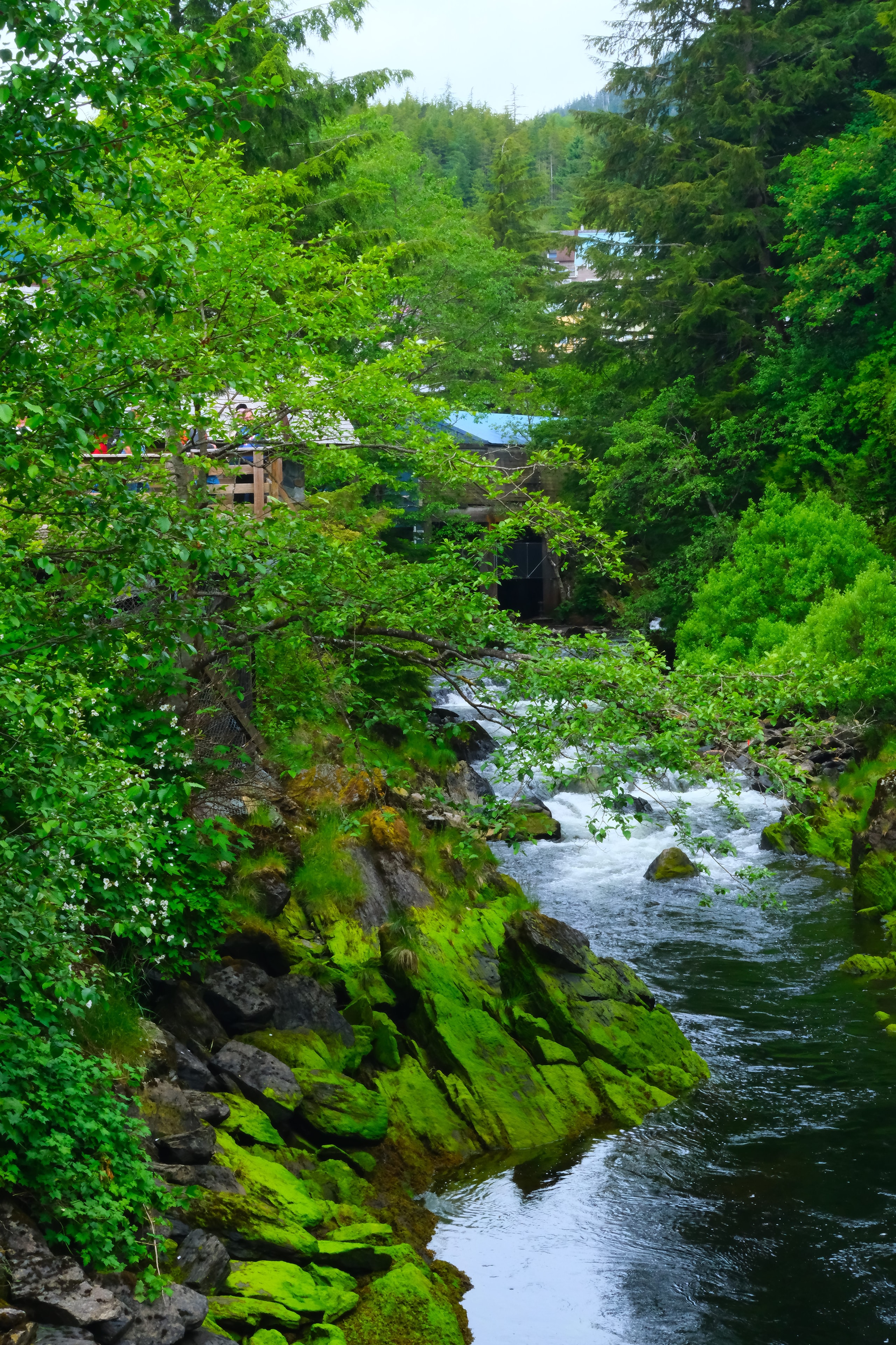 Ketchikan, Alaska