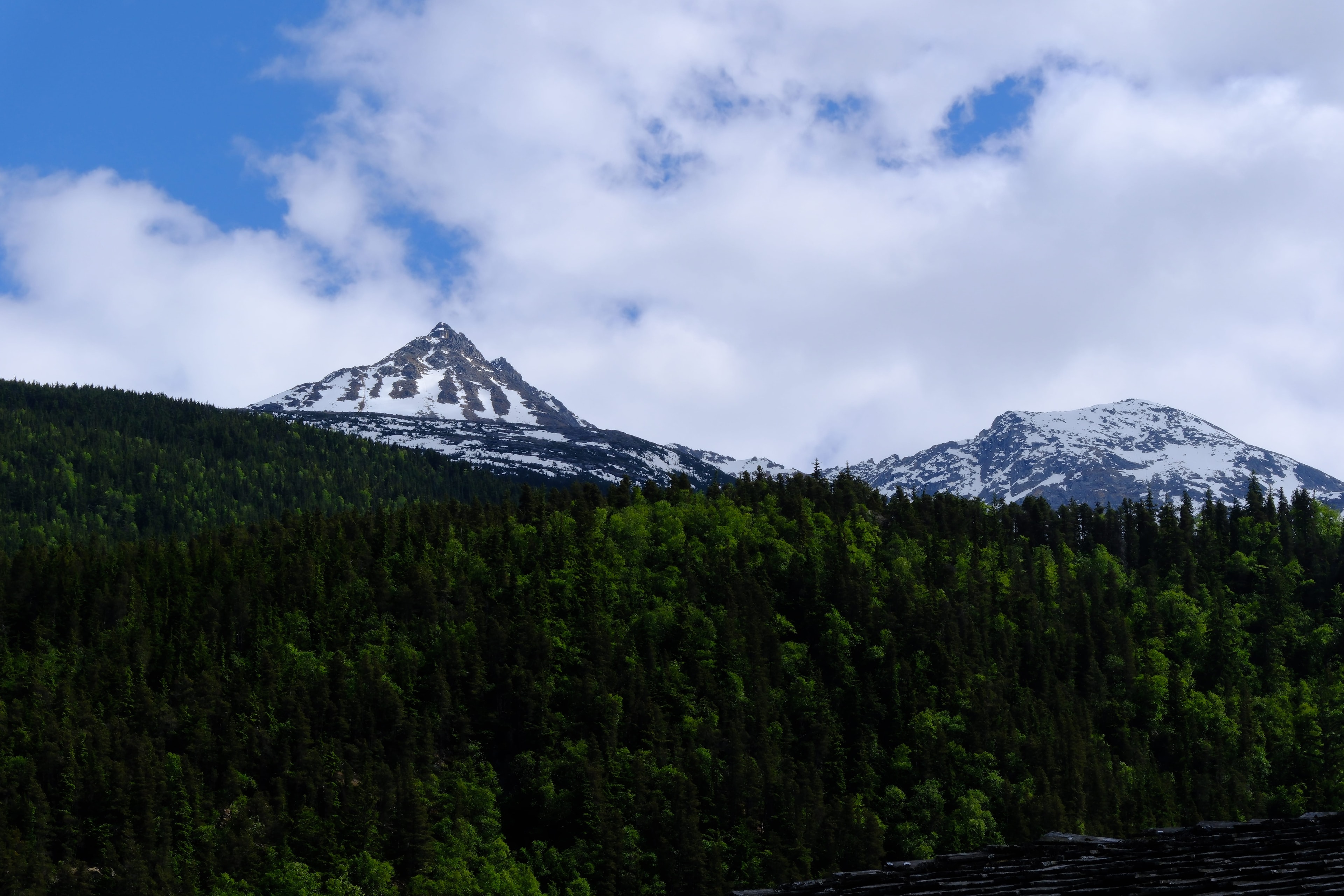 Snow-capped mountains rising above dense green spruce forest under a blue sky — the dramatic Alaska landscape surrounding Ketchikan