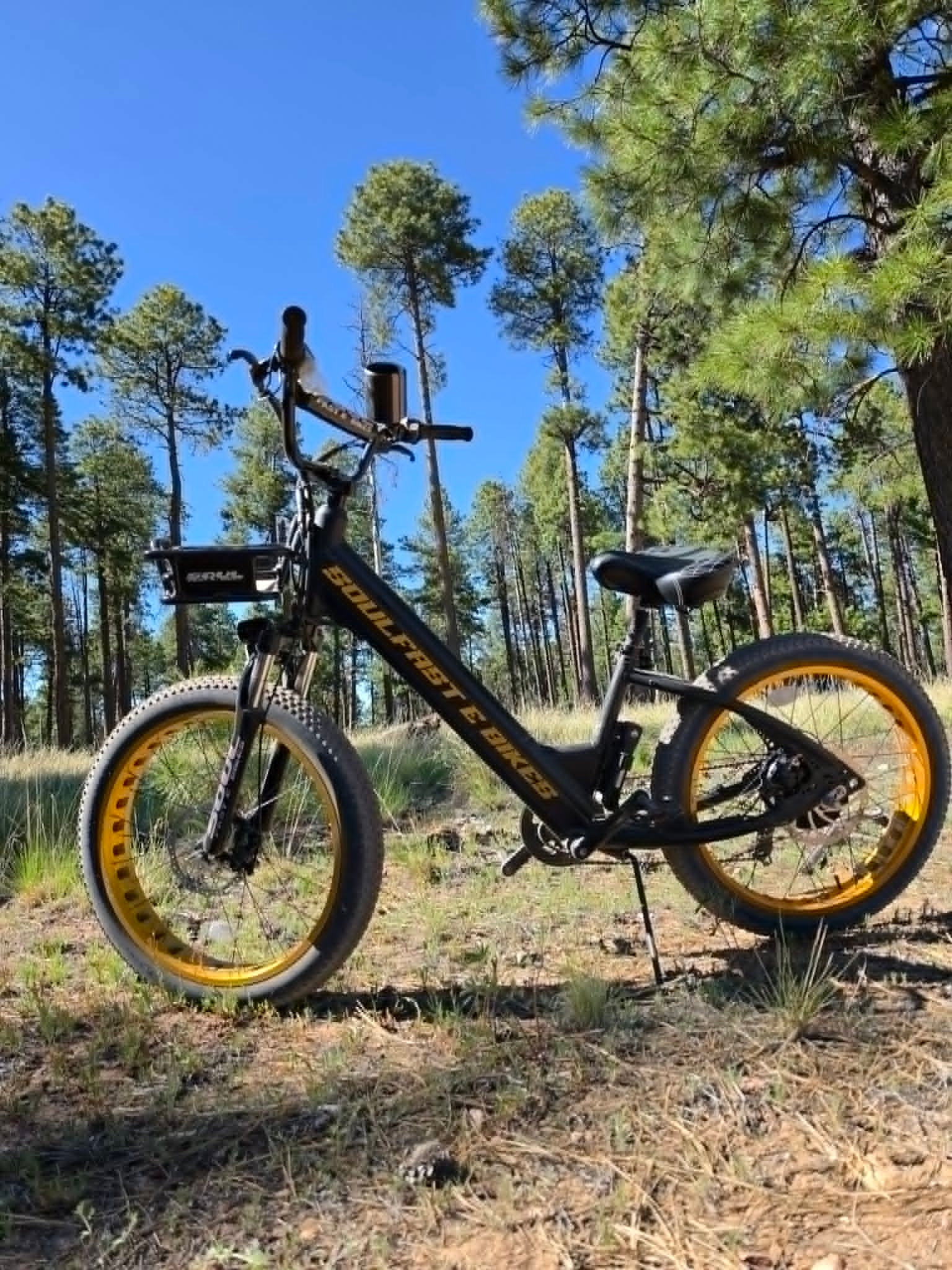 Black and gold Soul Fast e-bike among ponderosa pines