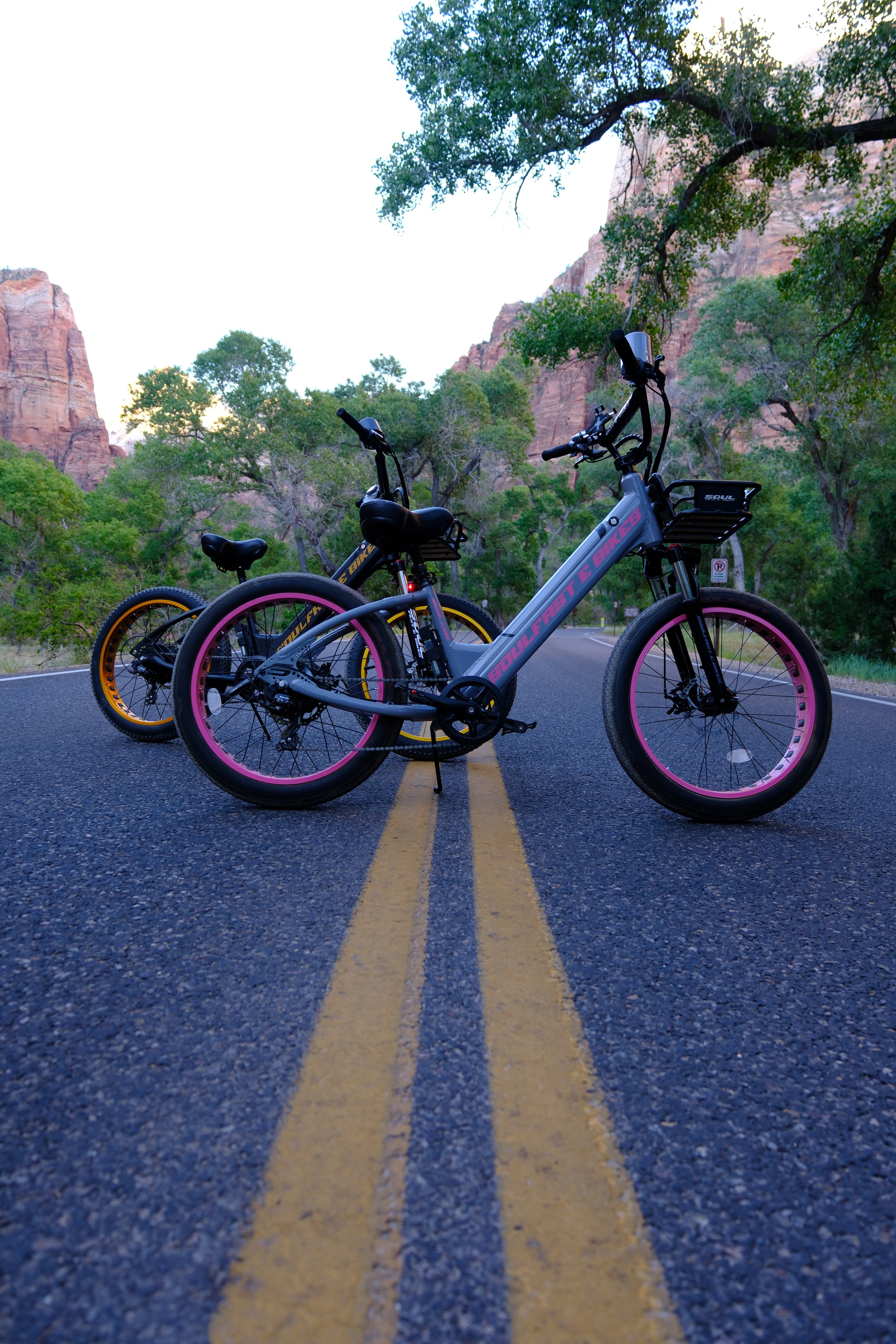 Both Soul Fast e-bikes on a Zion road with yellow center lines