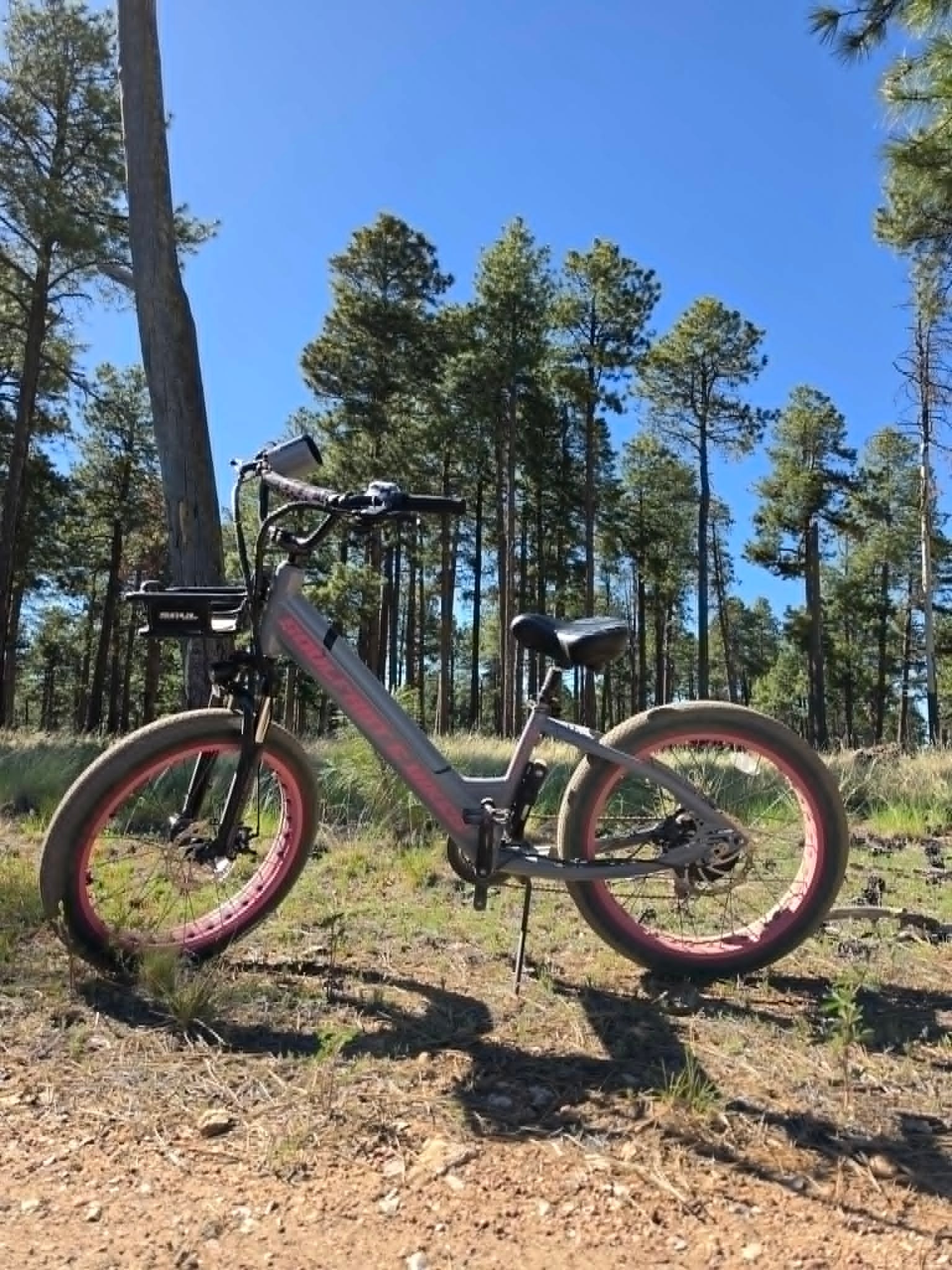 Pink Soul Fast e-bike among ponderosa pines