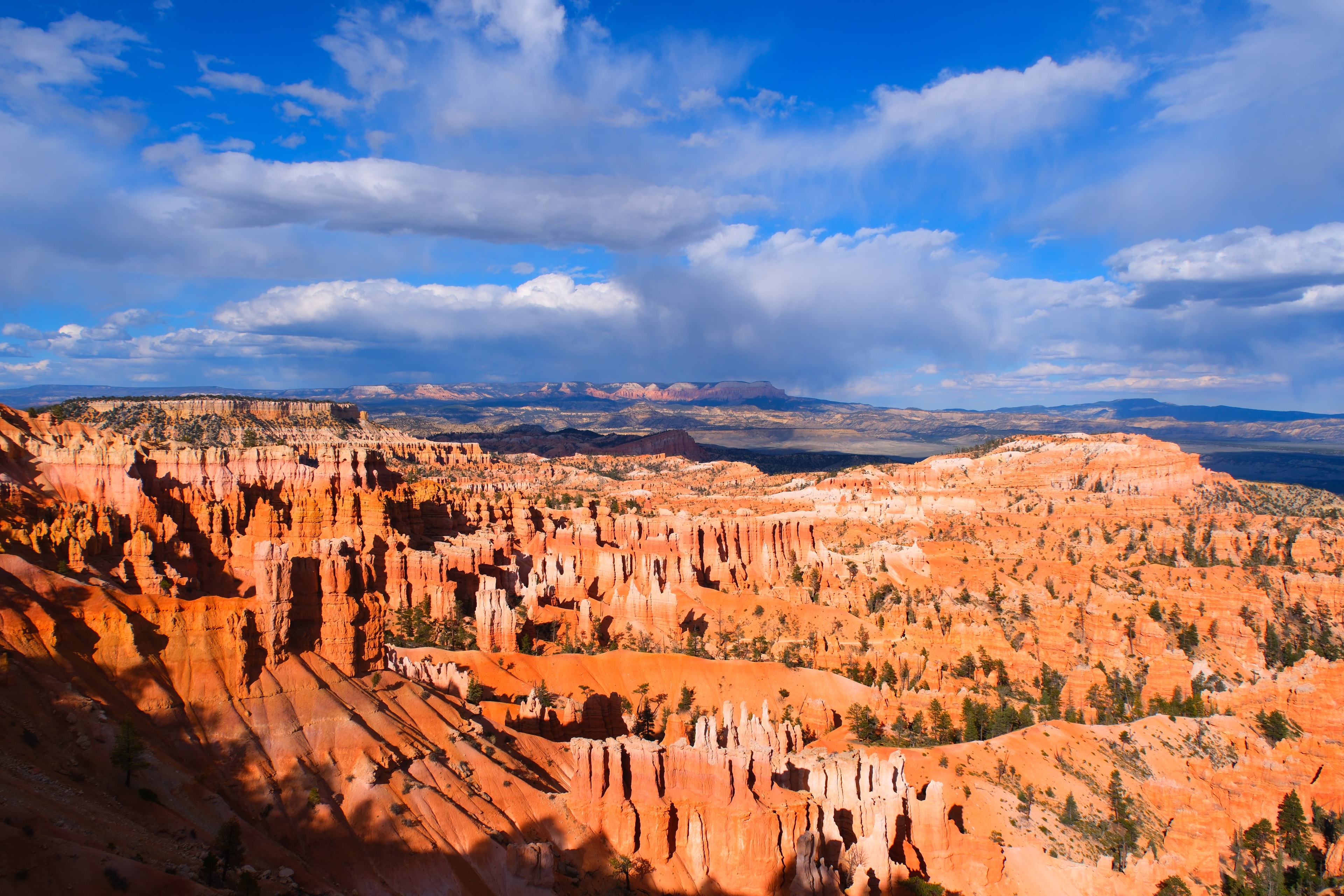 Stunning wide panoramic of full Bryce amphitheater with wall to wall warm orange red hoodoo city cream white spires dense pines distant forested mesa and dramatic blue sky with billowing clouds at Bryce Canyon National Park Utah