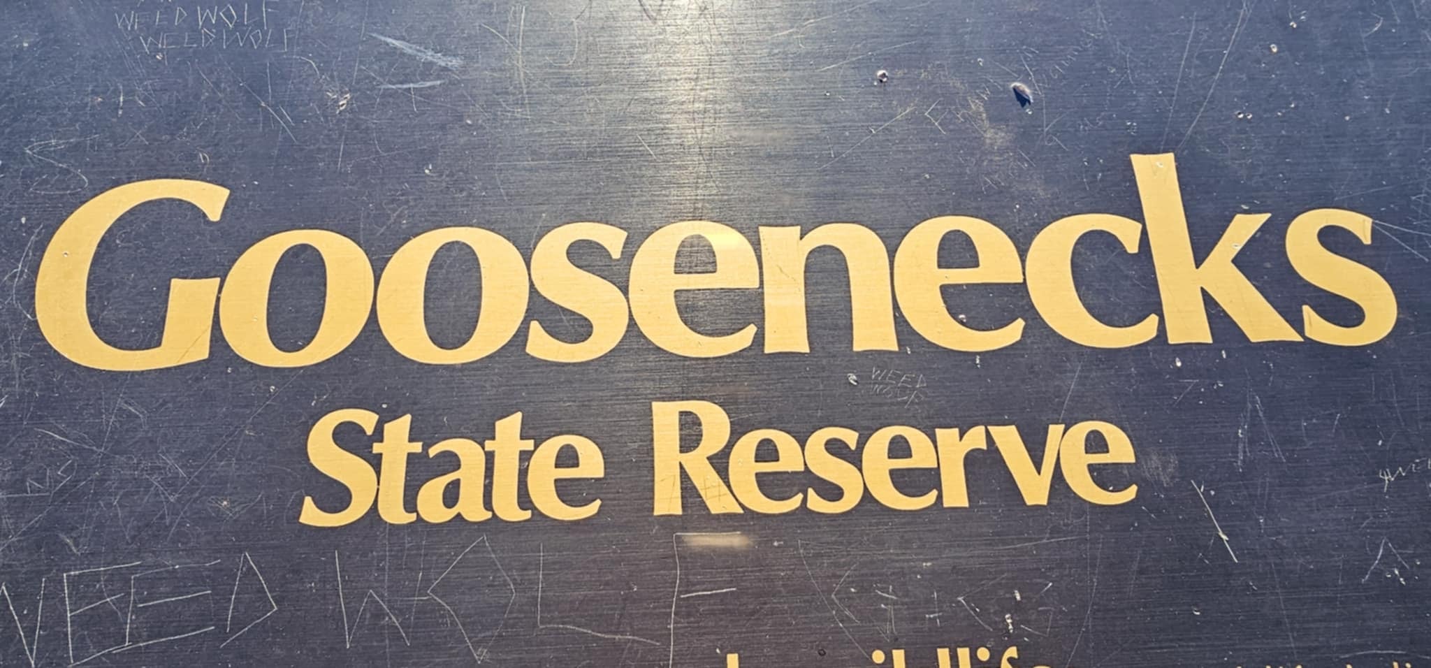 Goosenecks State Reserve entrance sign with gold lettering on dark background at Goosenecks State Park Utah