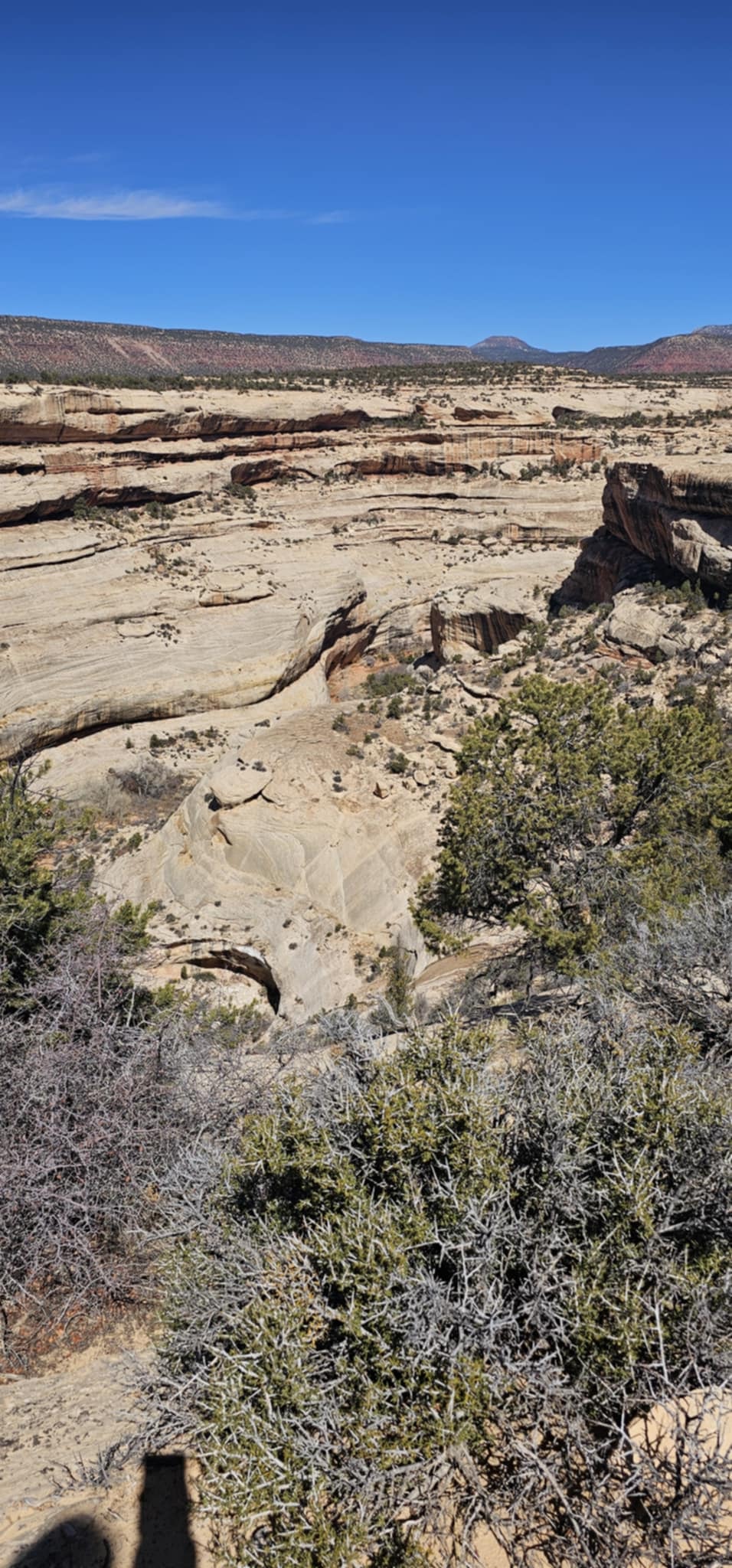 Layered sandstone canyon overlook with distant mesa and blue sky at Natural Bridges National Monument Utah