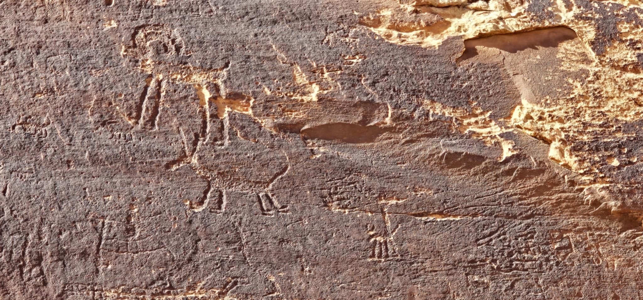 Closeup of Sand Island petroglyph panel showing animal figures human figures and symbols carved into dark desert varnish near Bluff Utah
