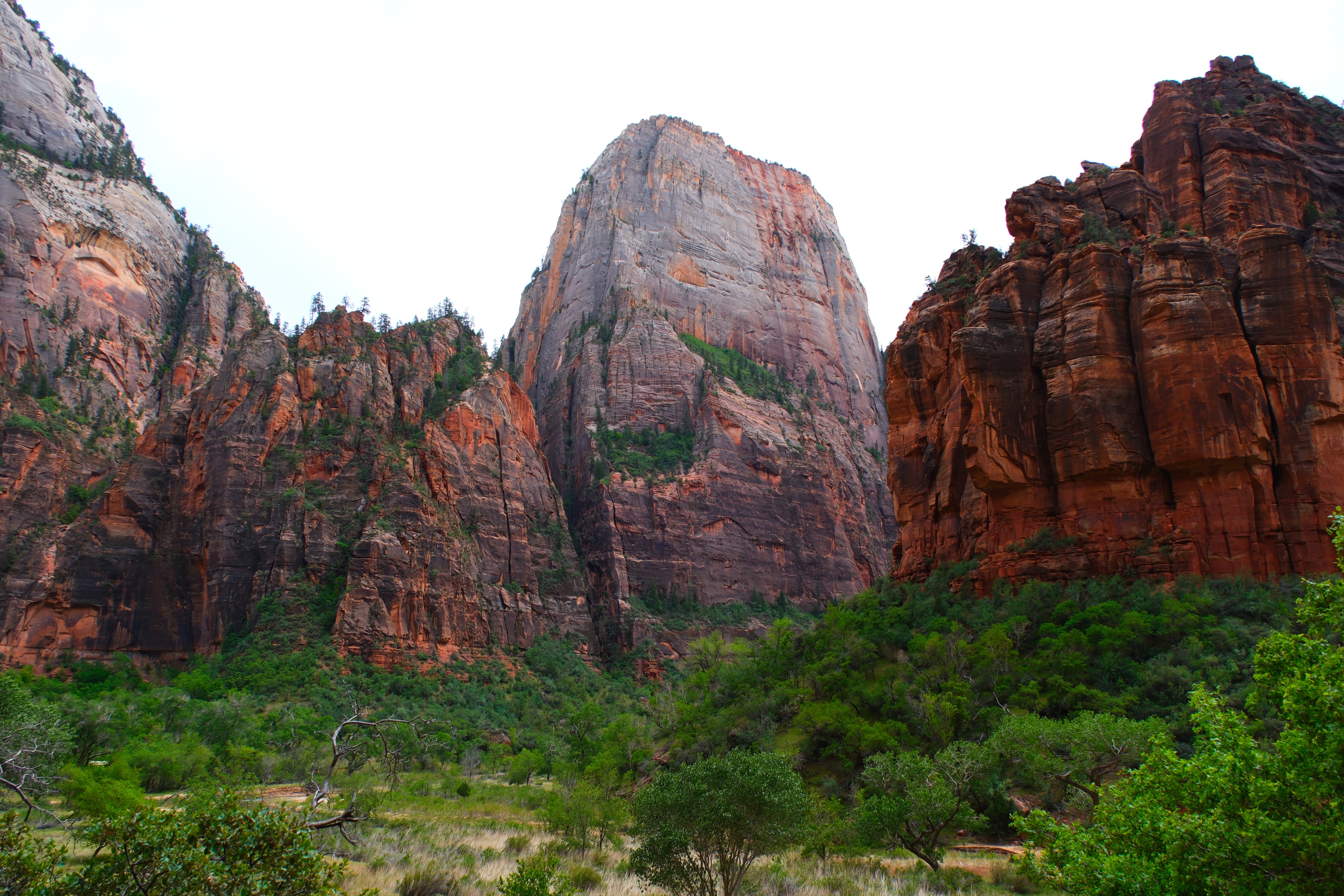 Angels Landing full monolith centered between two flanking red canyon walls with green canyon floor below white sky at Zion National Park Utah LOVING LIFE HAVING FUN Brinkley Z3400