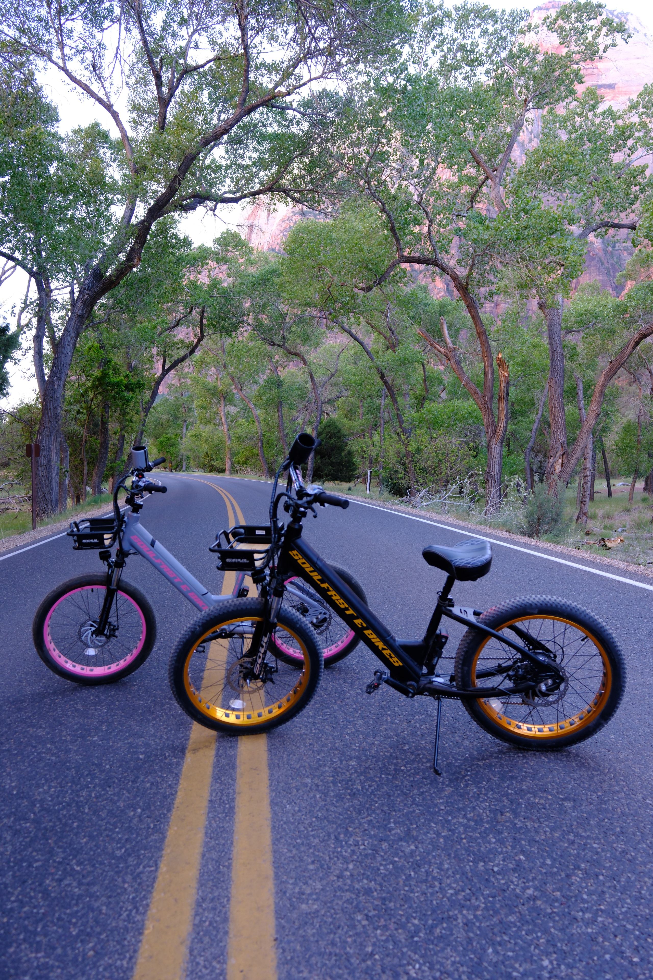 Both Soul Fast e-bikes on a road under a cottonwood canopy at Zion