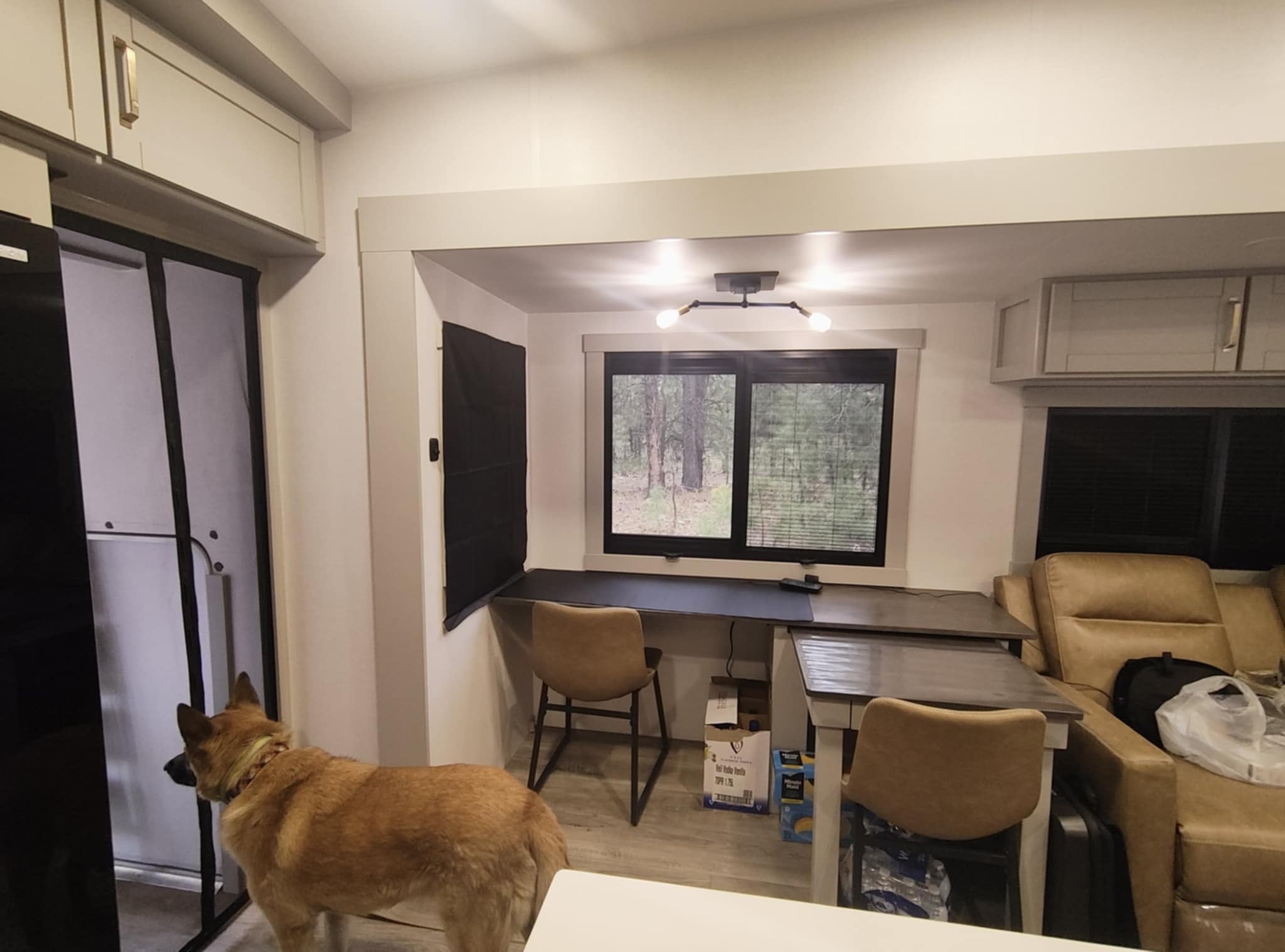 Reecee checking out Joe's desk setup at night in the Brinkley Z3400 office